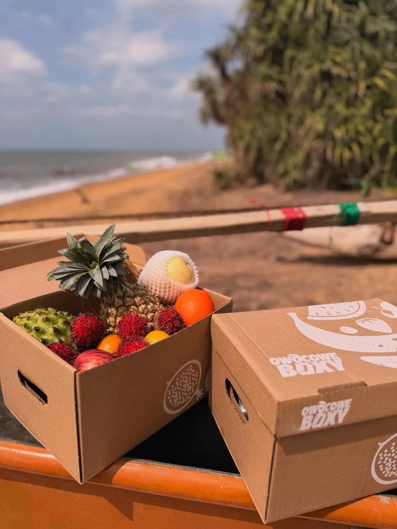 Owoce egzotyczne prosto ze Sri Lanki w Owocowych Boxach